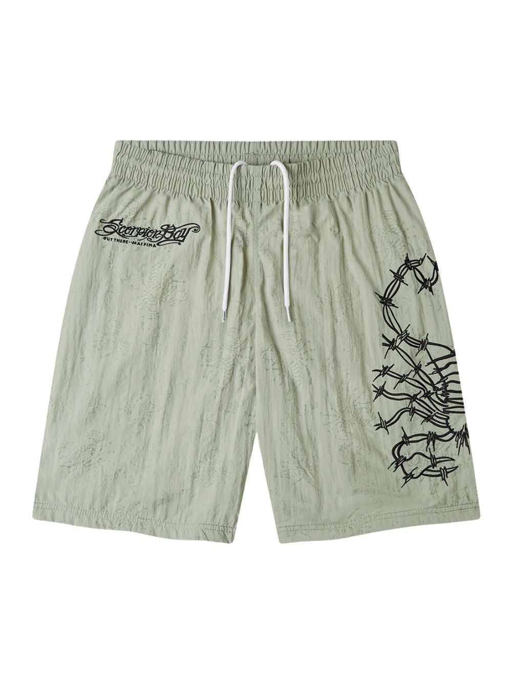Costume Jams elastic SCORPION BAY Uomo - Verde